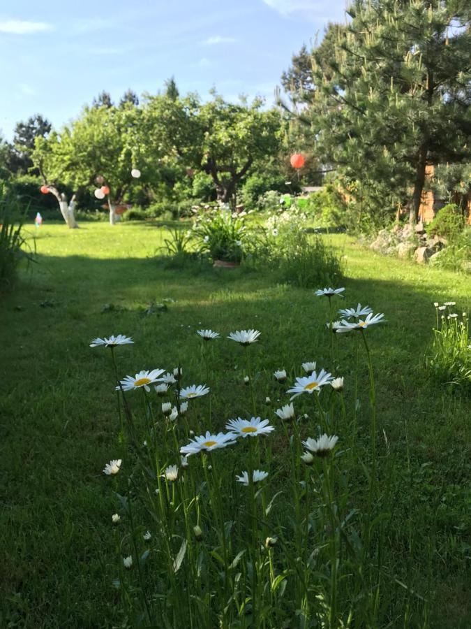 Wiek auf Rügen Hering Fewo I Apartment Terrace מראה חיצוני תמונה