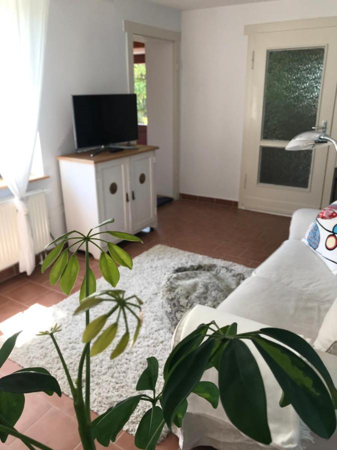 Wiek auf Rügen Hering Fewo I Apartment Terrace מראה חיצוני תמונה