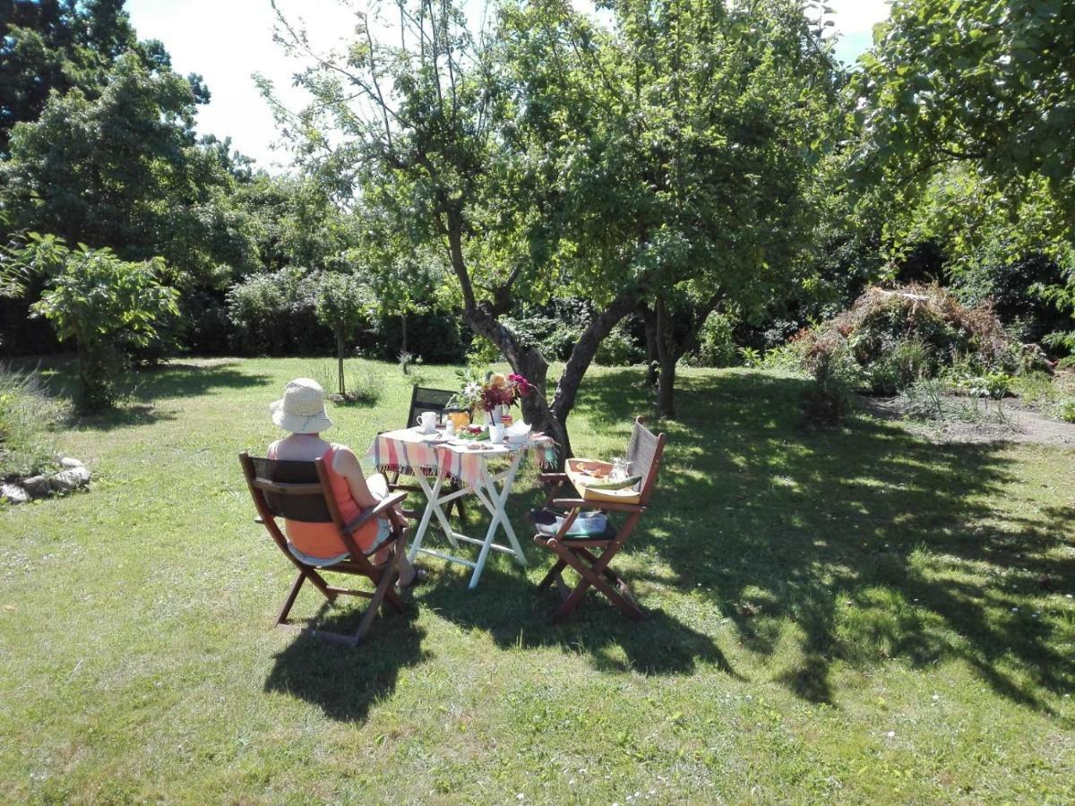 Wiek auf Rügen Hering Fewo I Apartment Terrace מראה חיצוני תמונה